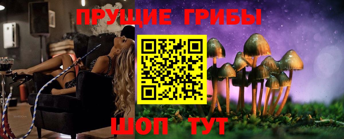 Галлюциногенные грибы GOLDEN TEACHER Черногорск
